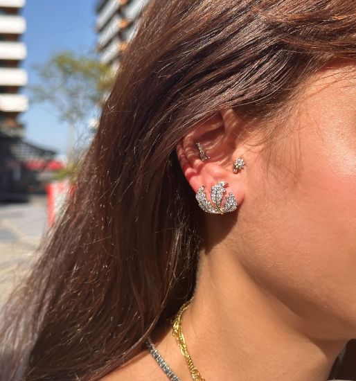 İki Renkli Yaprak Taş Küpe resmi