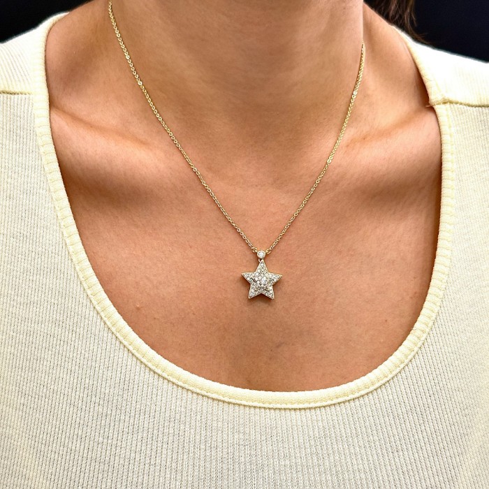 Ful Taşlı Yıldız Kolye resmi