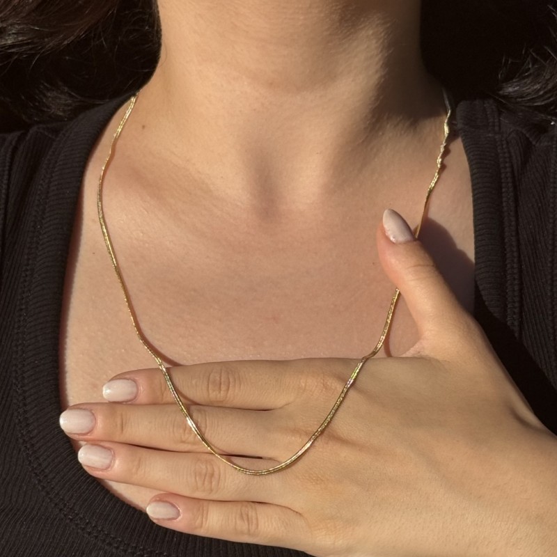 Yassı Yılan Zincir resmi