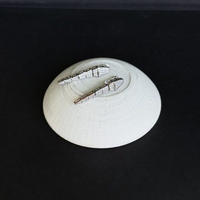 Yılan Kuyruğu Spiral Küpe resmi