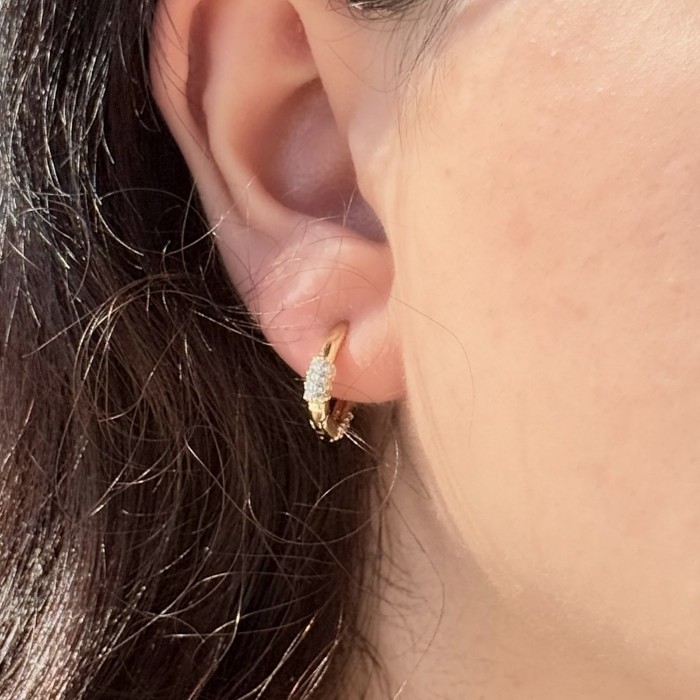 Taşlarla Bezenmiş Altın Halka Küpe resmi