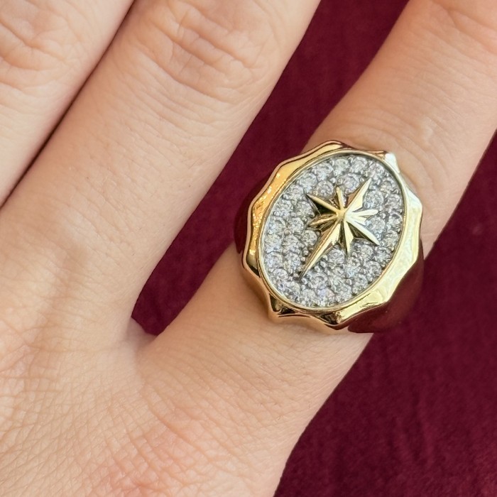 Kutup Yıldızı Yüzüğü: Işıltının İzinde resmi