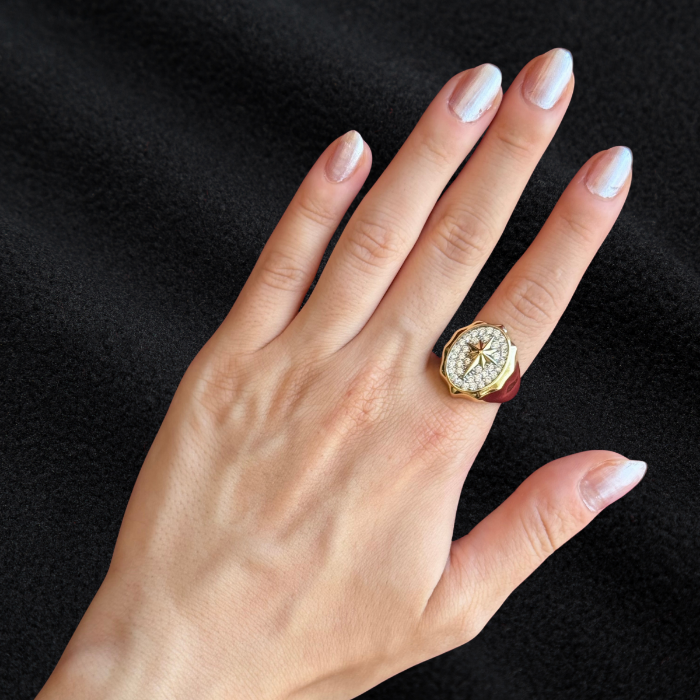 Kutup Yıldızı Yüzüğü: Işıltının İzinde resmi