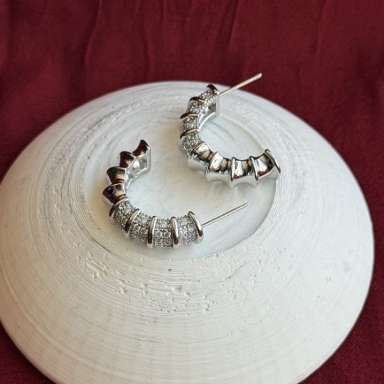 Işıltılı Gümüş Taşlı Küpe resmi