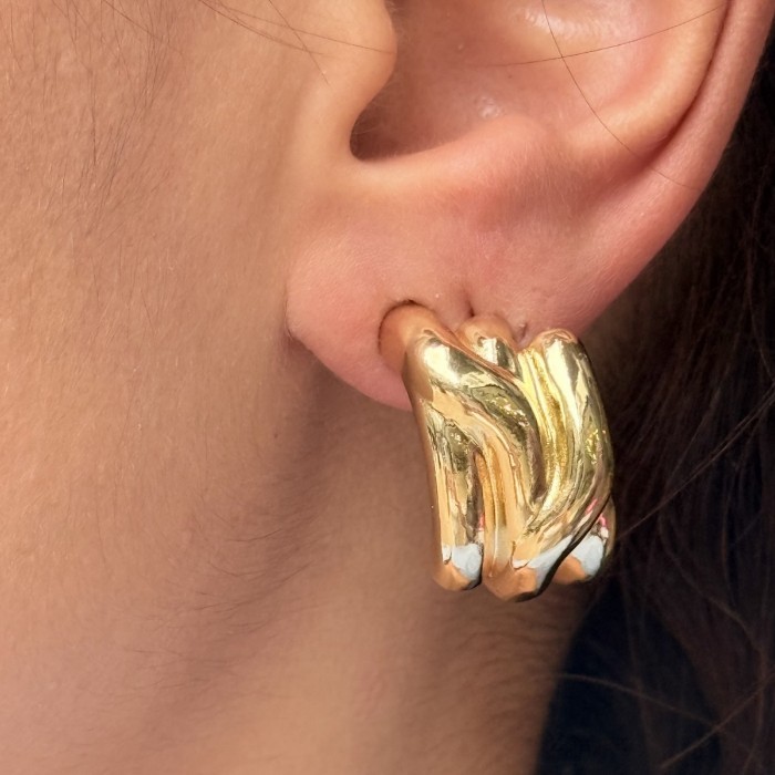 Parlayan Zarafet: Gold Küpe resmi