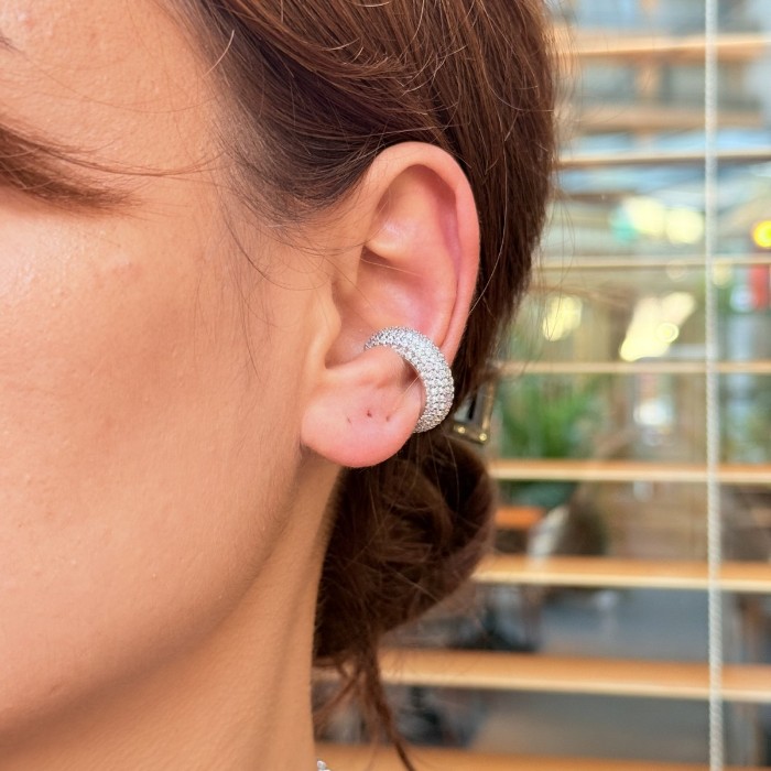 Parıltılı Geniş Halka kıkırdak resmi