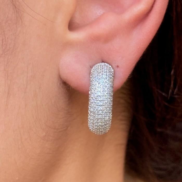 Tamamen Taşlı Oval Küpe resmi