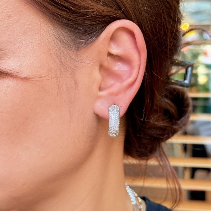 Tamamen Taşlı Oval Küpe resmi