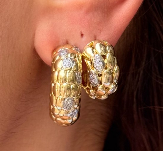 Çok Yönlü Şıklık: Gold & Gümüş Küpe Büçük Boy - kopyala resmi