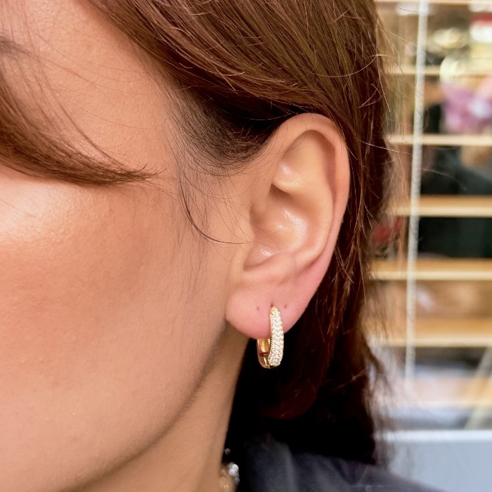 İnce Taşlı Halkalı Küpe resmi