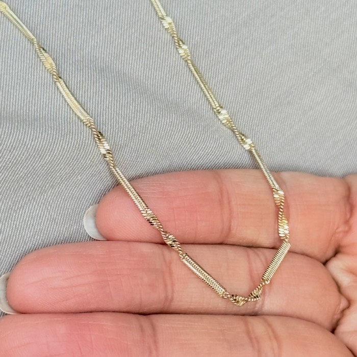 Segmentli Balıksırtı Zincir Kolye resmi